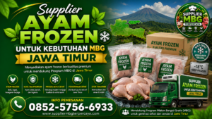 Supplier Ayam MBG, Supplier Ayam Frozen, Supplier Ayam Fillet