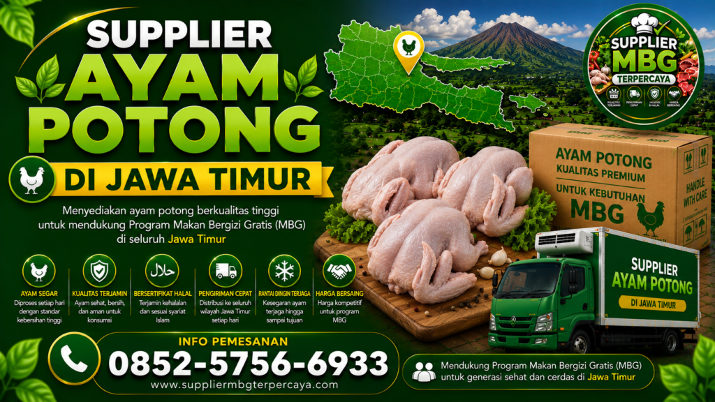 Supplier Ayam MBG, Supplier Ayam Frozen, Supplier Ayam Fillet