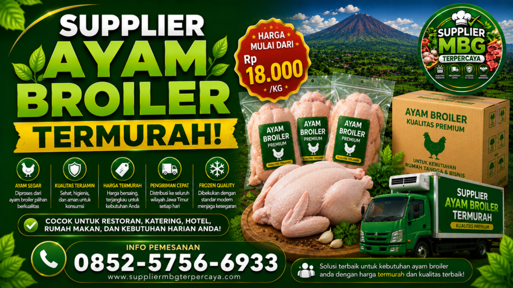 Supplier Ayam MBG, Supplier Ayam Frozen, Supplier Ayam Fillet, Distributor Ayam Broiler